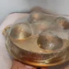 Bronze Paddu tawa