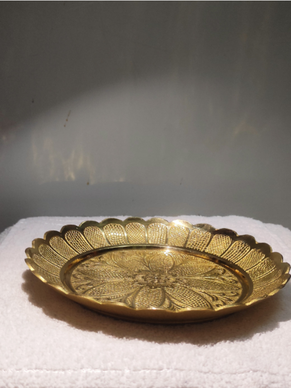 TORTOISE PLATE 450